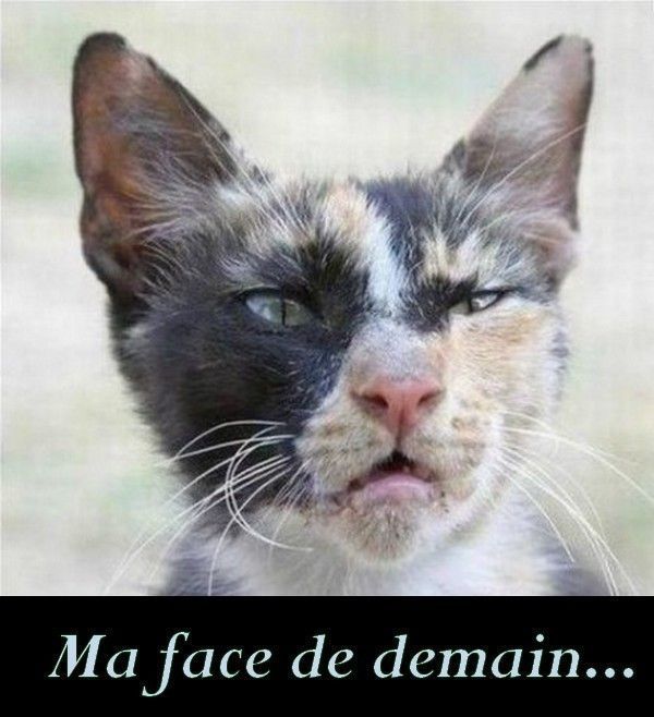 Ma face de demain...