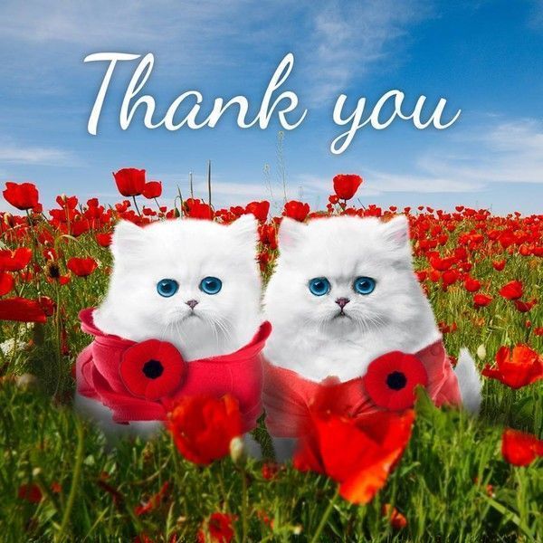 merci...a nos