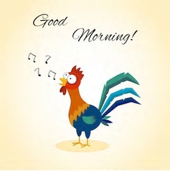 good morning