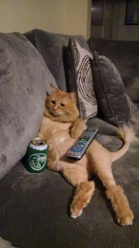 pause tv
