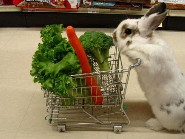 Journée shopping.....