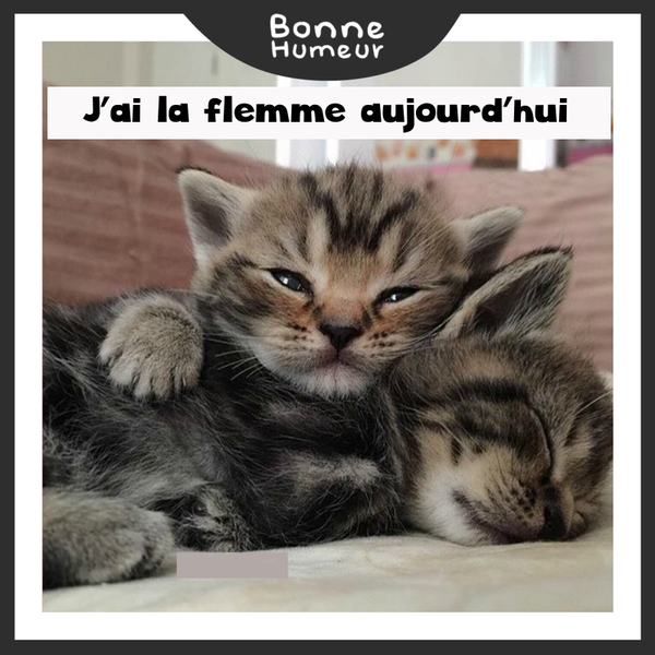 j'ai la flemme
