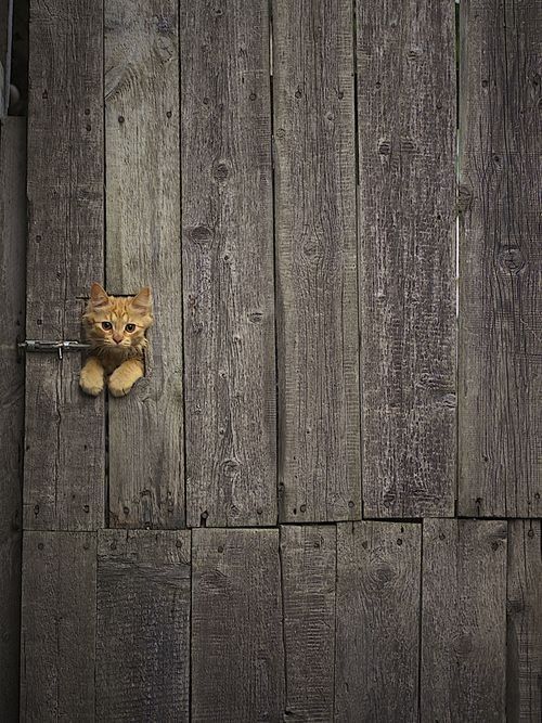 coucou....hé...c'est pour quand..hi.hi..