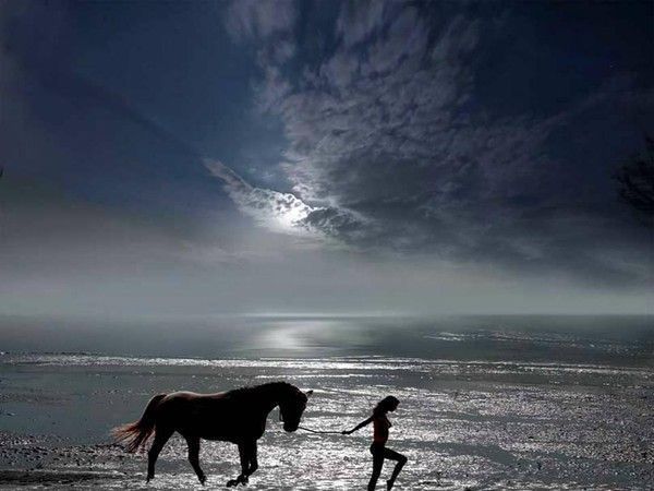 Cheval...et la mer....