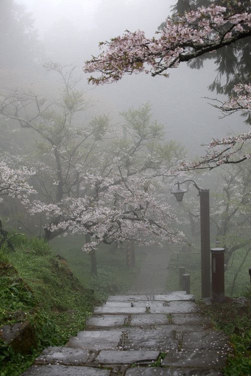 Un jolie sentier de printemps...