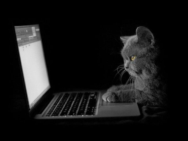 Retour au blog...