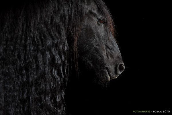 Tresse noir