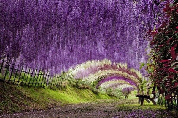 splendide