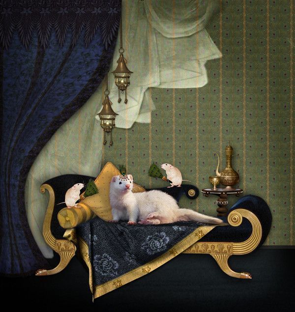 le petit...prince...hi.hi..