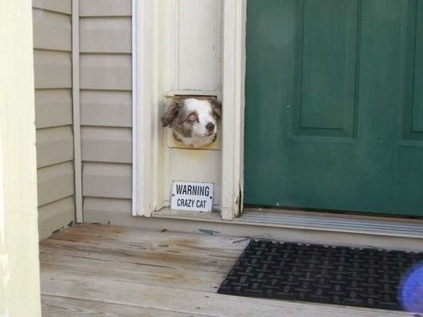 Il est ou..hi.hi..