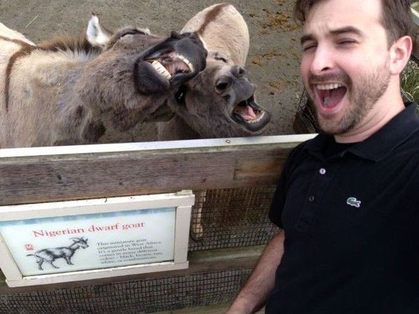 Cheese...hi.hi..