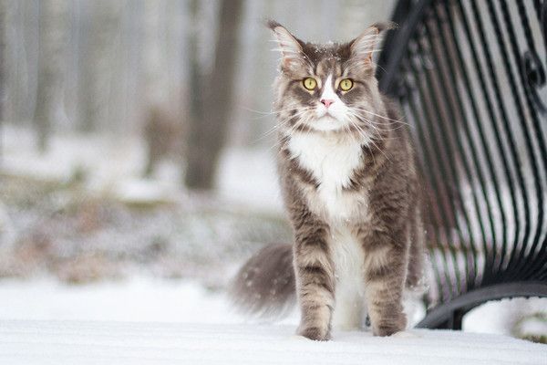 l'hiver s'éternise