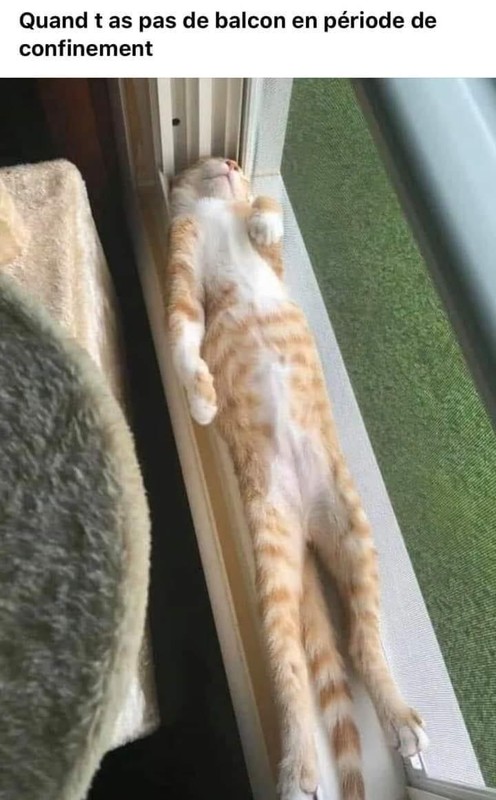 on prend son soleil