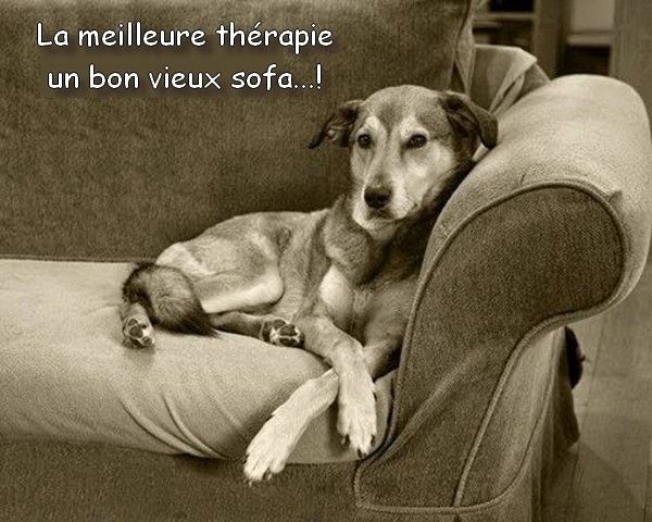 relax cool...ce soir...