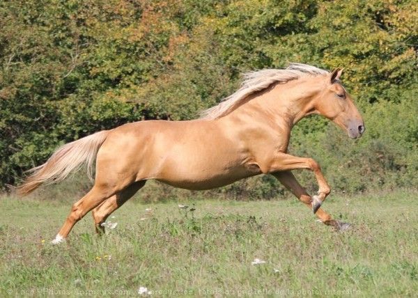 Beau blond en action