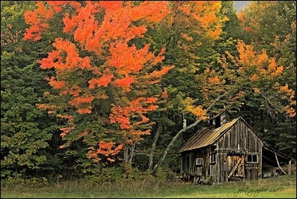 paysage