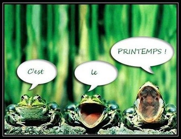 Printemps.....