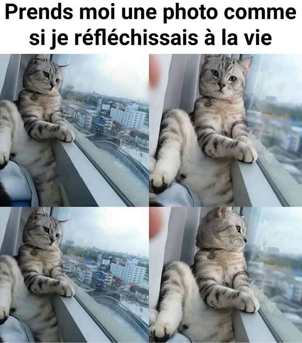hi..hi..on cherche
