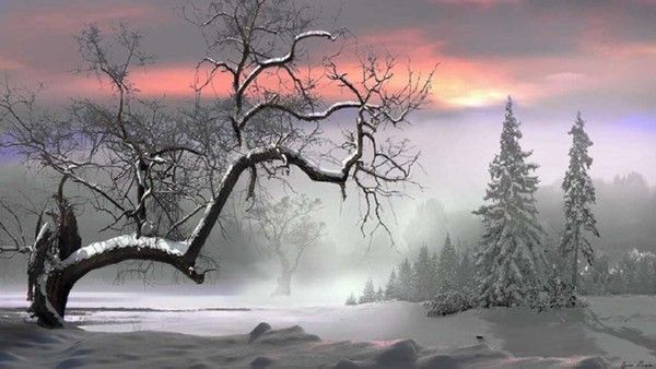 Paysage hiver....