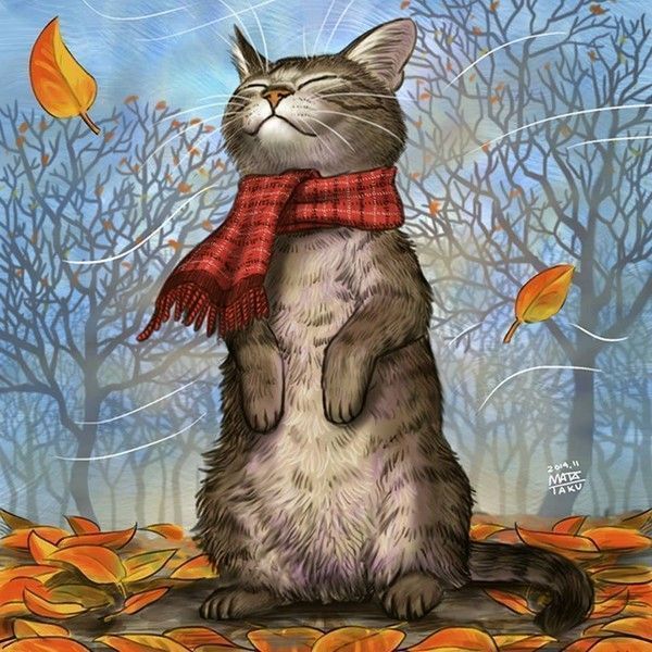 hummm chat calme