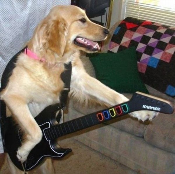 Le guitariste