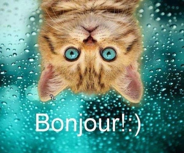 bonjour toi..hi.hi..