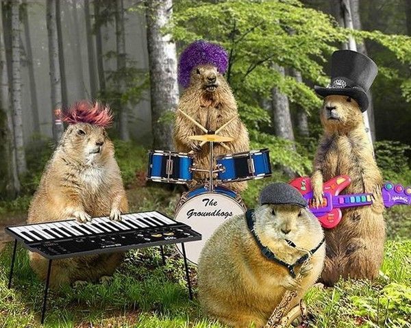 Band...marmotte....hi.hi.
