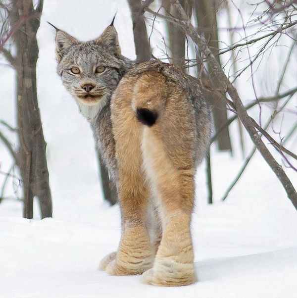 le temps froid 