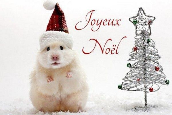 noel...noel...ces toi