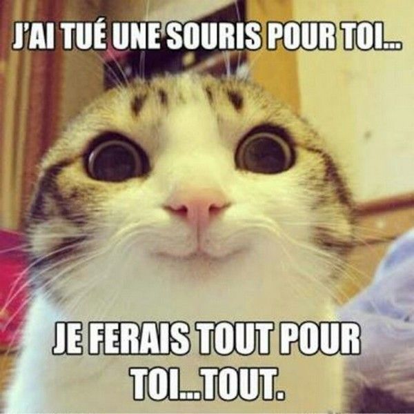 tout..tout....tou....