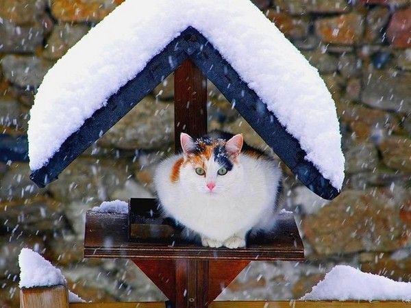 que tu soi a l'abri...hi..hi..