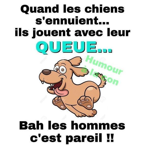quel humeur..hi.hi..