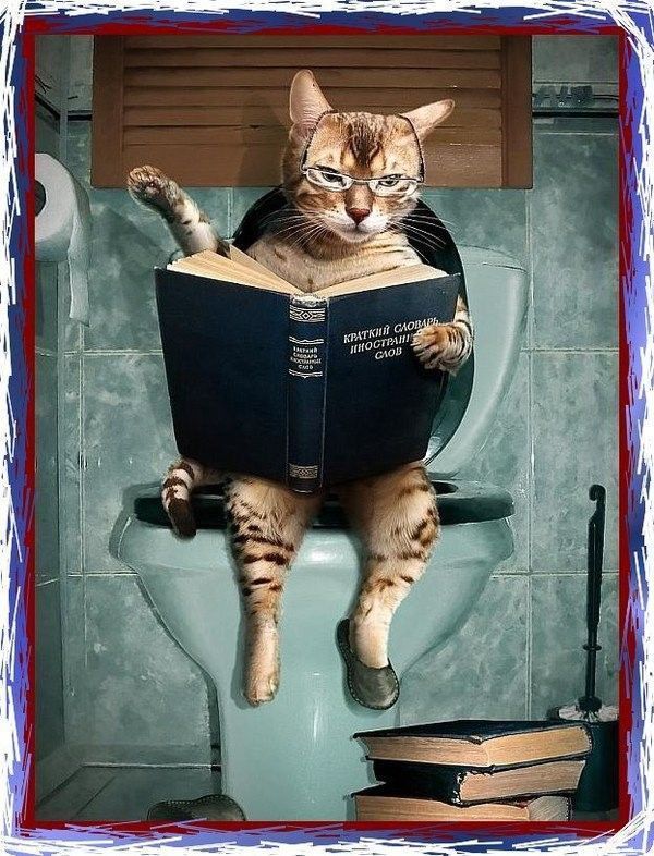 pause intime....
