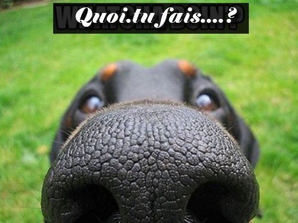 Encore devant l'ordi..hi.hi..
