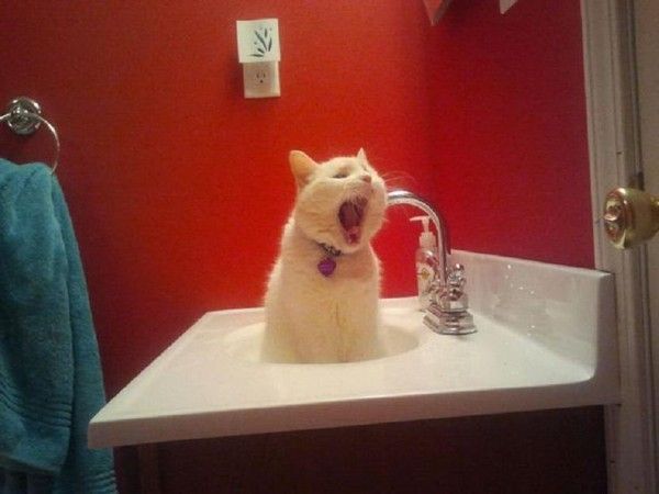 Heures......du BBBBBAIIIN!!!!...hi..hi..