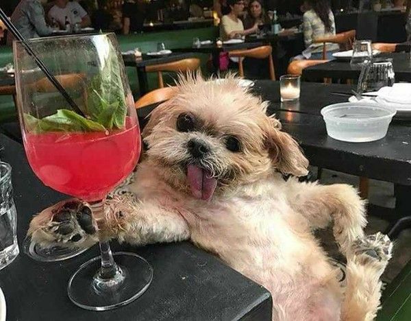 bonne apéro