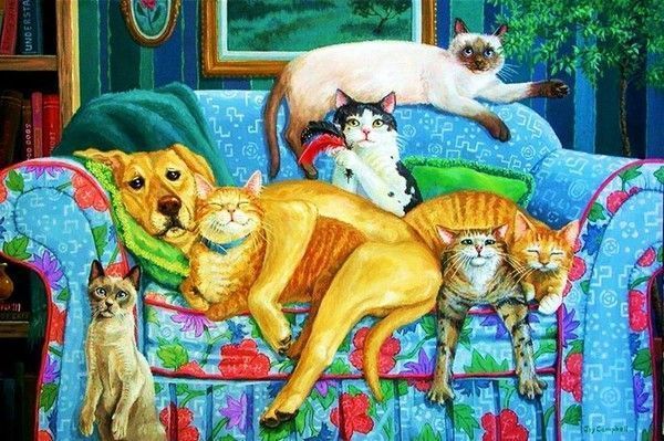 je vois chat