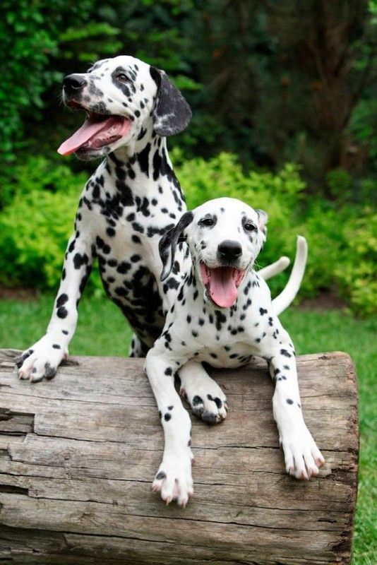 Quel sourire....