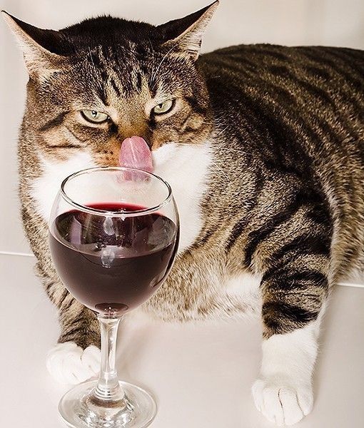 bah..! quand cé..bon