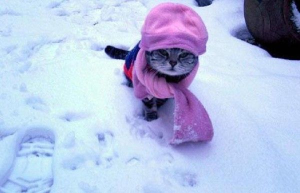 Mdrr..la ti-laine et la tuques...