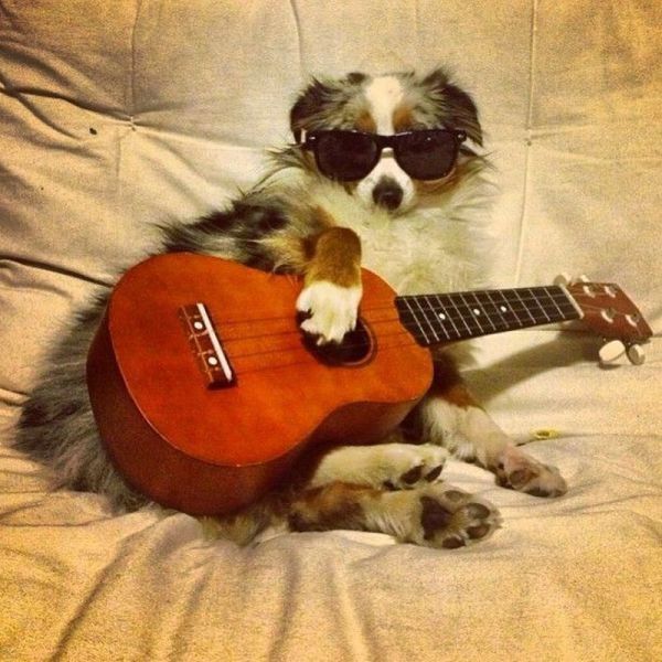 Je te chante une ballade...hi.hi..