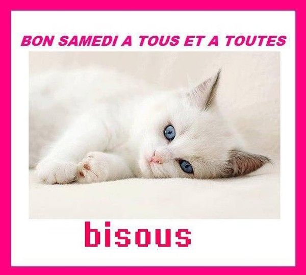 bon samedi