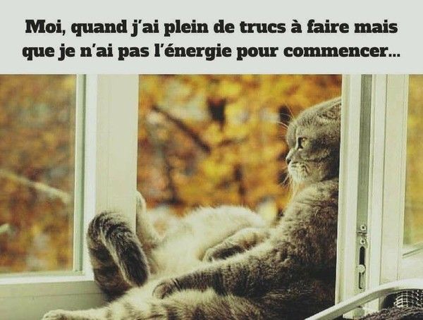 en manque d'énergie..hi.hi..