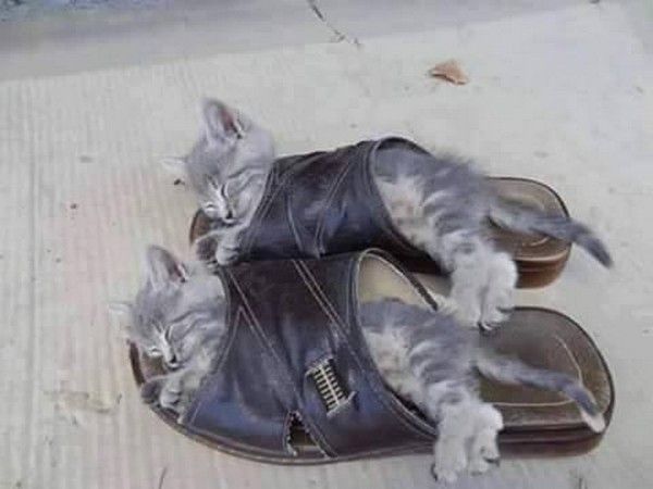 ben ta pas besoins..hi.hi..