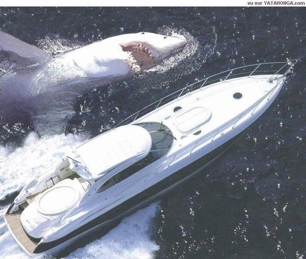 Satarlipopètte...le bateau est trop petit chéri....