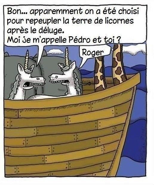 un peut humour