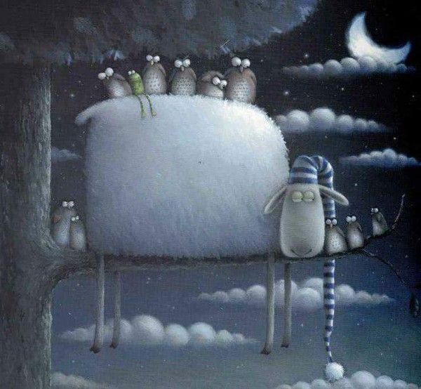 chat sommeil