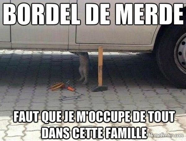 mdr..cé..chat