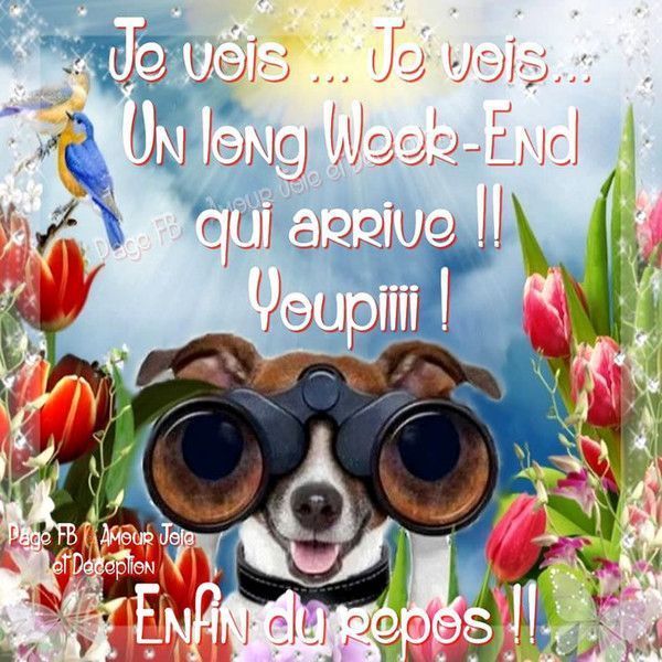 yes   enfin...un week