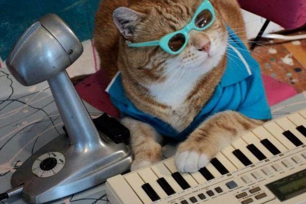 le DJ..du jour..hi.hi..